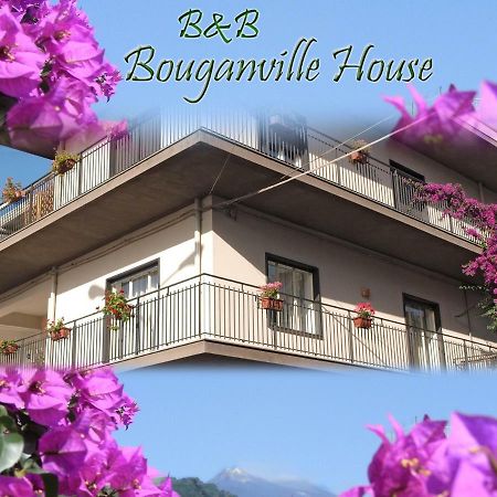 Bouganville House Zafferana Etnea Extérieur photo