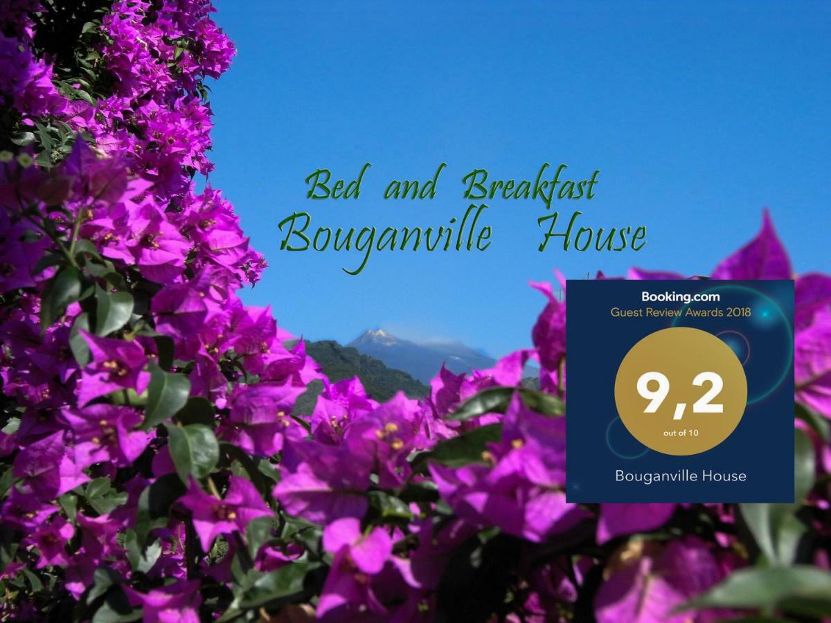 Bouganville House Zafferana Etnea Extérieur photo